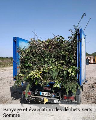 Broyage et évacuation des déchets verts 80 Somme LTC Elagage - Abattage