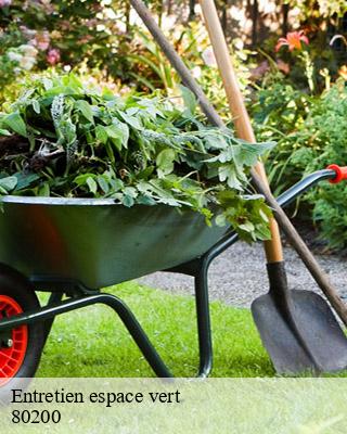 Entretien espace vert biaches-80200 LTC Elagage - Abattage