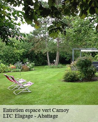 Entretien espace vert carnoy-80300 LTC Elagage - Abattage