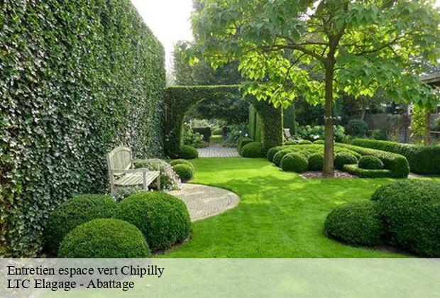 Entretien espace vert chipilly-80800 LTC Elagage - Abattage