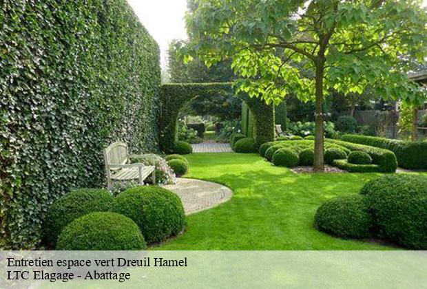 Entretien espace vert  dreuil-hamel-80270 LTC Elagage - Abattage 