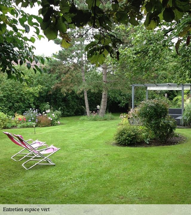 Entretien espace vert lincheux-hallivilliers-80640 LTC Elagage - Abattage