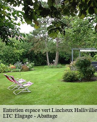 Entretien espace vert lincheux-hallivilliers-80640 LTC Elagage - Abattage