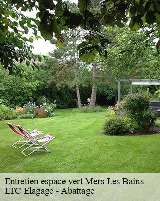 Entretien espace vert  mers-les-bains-80350 LTC Elagage - Abattage 