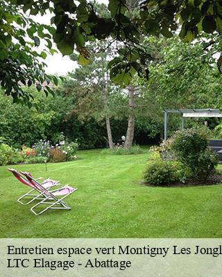 Entretien espace vert montigny-les-jongleurs-80370 LTC Elagage - Abattage