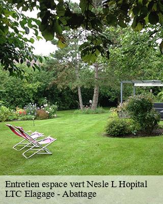 Entretien espace vert nesle-l-hopital-80140 LTC Elagage - Abattage