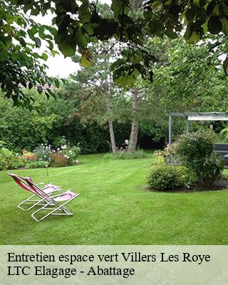 Entretien espace vert villers-les-roye-80700 LTC Elagage - Abattage