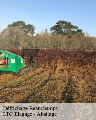 Défrichage beauchamps-80770 LTC Elagage - Abattage