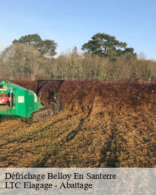 Défrichage belloy-en-santerre-80200 LTC Elagage - Abattage