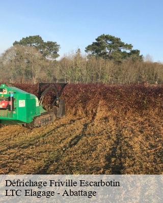 Défrichage  friville-escarbotin-80130 LTC Elagage - Abattage 