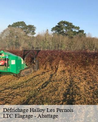 Défrichage halloy-les-pernois-80670 LTC Elagage - Abattage