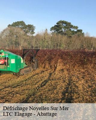 Défrichage noyelles-sur-mer-80860 LTC Elagage - Abattage