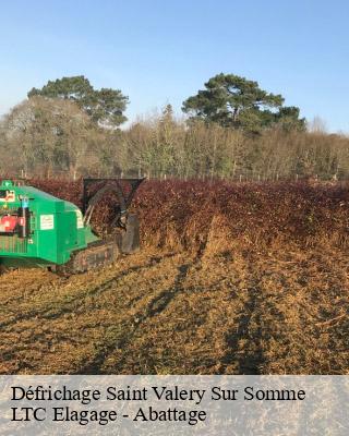 Défrichage saint-valery-sur-somme-80230 LTC Elagage - Abattage