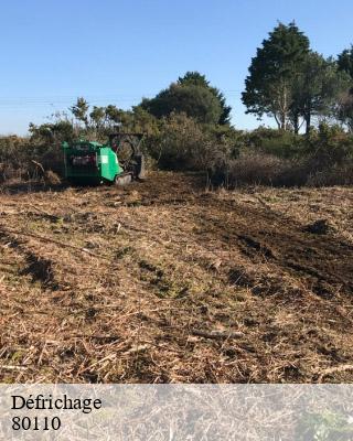 Défrichage thezy-glimont-80110 LTC Elagage - Abattage