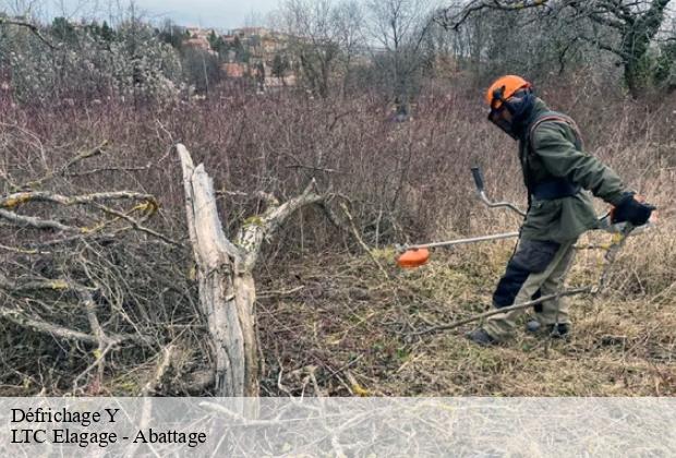 Défrichage y-80190 LTC Elagage - Abattage