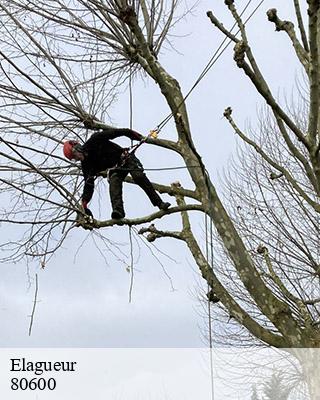 Elagueur autheux-80600 LTC Elagage - Abattage