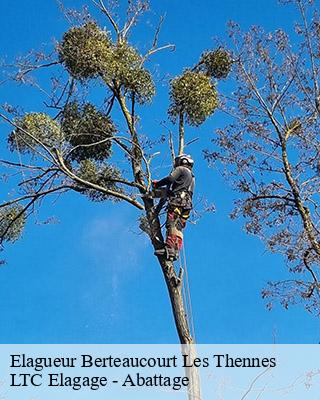 Elagueur  berteaucourt-les-thennes-80110 LTC Elagage - Abattage 
