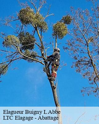 Elagueur buigny-l-abbe-80132 LTC Elagage - Abattage