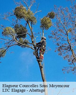 Elagueur  courcelles-sous-moyencour-80290 LTC Elagage - Abattage 