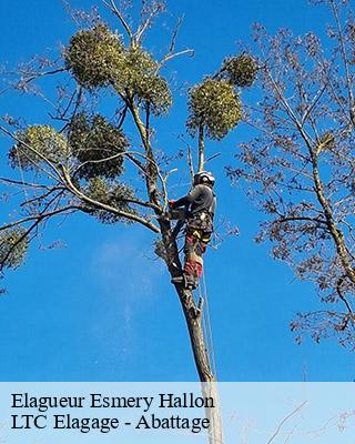 Elagueur  esmery-hallon-80400 LTC Elagage - Abattage 