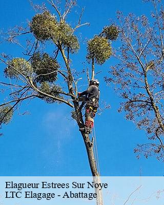 Elagueur  estrees-sur-noye-80250 LTC Elagage - Abattage 