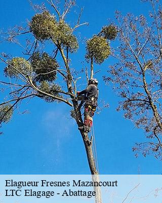 Elagueur  fresnes-mazancourt-80320 LTC Elagage - Abattage 