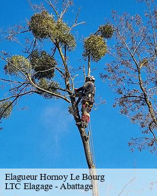 Elagueur hornoy-le-bourg-80640 LTC Elagage - Abattage