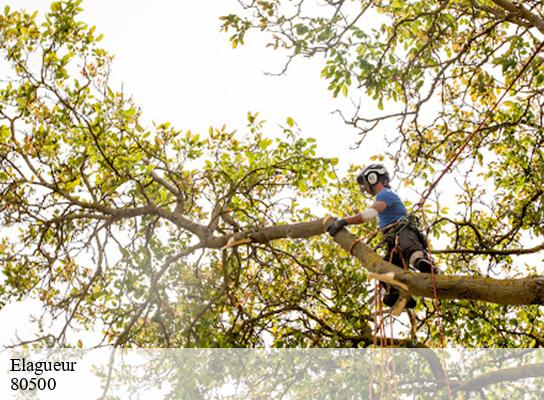 Elagueur mesnil-saint-georges-80500 LTC Elagage - Abattage