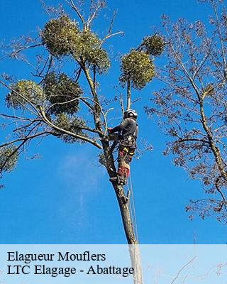 Elagueur  mouflers-80690 LTC Elagage - Abattage 