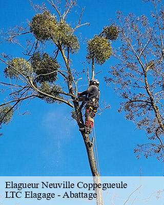Elagueur neuville-coppegueule-80430 LTC Elagage - Abattage