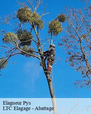 Elagueur  pys-80300 LTC Elagage - Abattage 