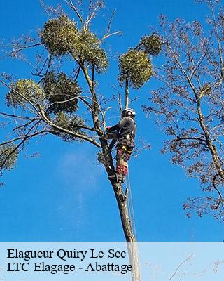 Elagueur  quiry-le-sec-80250 LTC Elagage - Abattage 