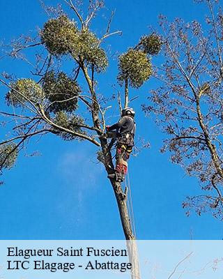 Elagueur saint-fuscien-80680 LTC Elagage - Abattage