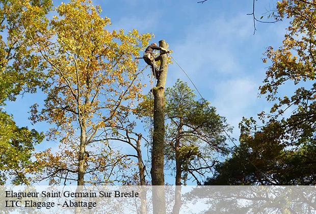 Elagueur saint-germain-sur-bresle-80430 LTC Elagage - Abattage