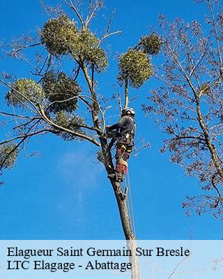 Elagueur saint-germain-sur-bresle-80430 LTC Elagage - Abattage