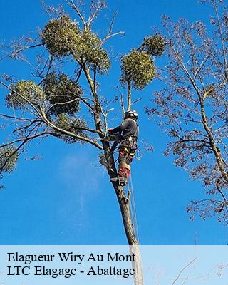 Elagueur wiry-au-mont-80270 LTC Elagage - Abattage