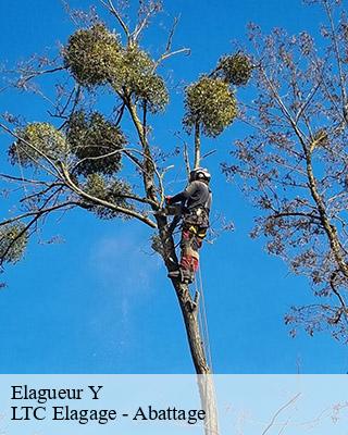 Elagueur  y-80190 LTC Elagage - Abattage 
