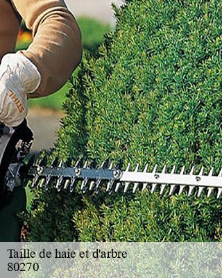 Taille de haie et d'arbre allery-80270 LTC Elagage - Abattage