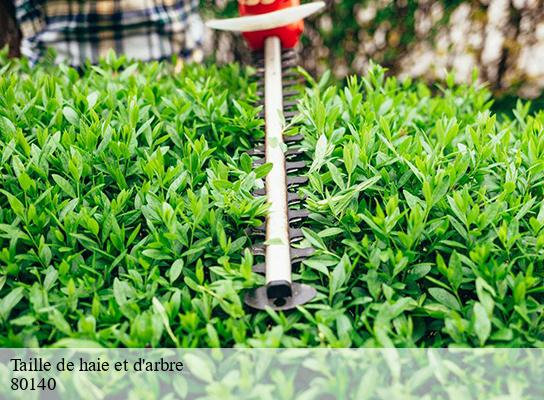 Taille de haie et d'arbre aumatre-80140 LTC Elagage - Abattage