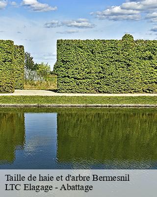 Taille de haie et d'arbre  bermesnil-80140 LTC Elagage - Abattage 