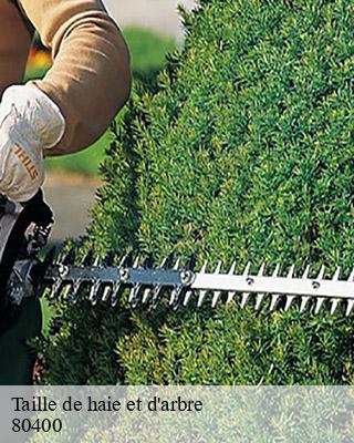 Taille de haie et d'arbre  buverchy-80400 LTC Elagage - Abattage 