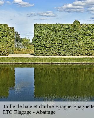 Taille de haie et d'arbre  epagne-epagnette-80580 LTC Elagage - Abattage 