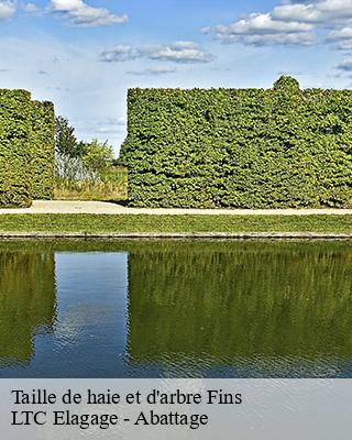 Taille de haie et d'arbre fins-80360 LTC Elagage - Abattage