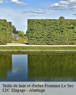 Taille de haie et d'arbre fontaine-le-sec-80140 LTC Elagage - Abattage