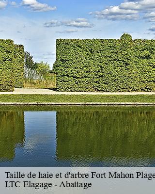 Taille de haie et d'arbre fort-mahon-plage-80790 LTC Elagage - Abattage
