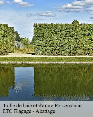 Taille de haie et d'arbre fossemanant-80160 LTC Elagage - Abattage