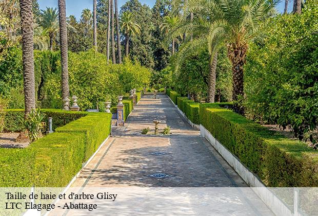 Taille de haie et d'arbre  glisy-80440 LTC Elagage - Abattage 