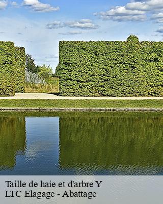 Taille de haie et d'arbre y-80190 LTC Elagage - Abattage