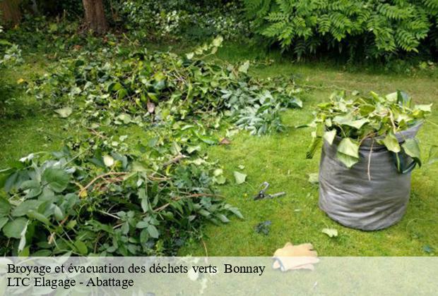 Broyage et évacuation des déchets verts   bonnay-80800 LTC Elagage - Abattage 