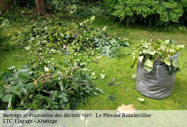 Broyage et évacuation des déchets verts   le-plessier-rozainvillier-80110 LTC Elagage - Abattage 